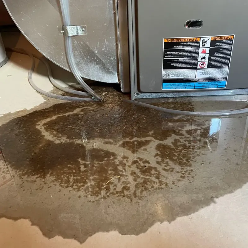 Pipe Burst and Leak Restoration in Whitfield, PA