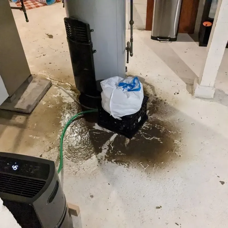 Sewage Backup Cleanup Service in Whitfield, PA